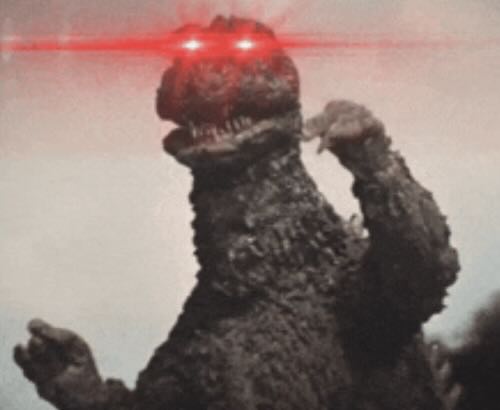 raptor.jpg